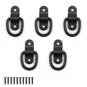 Set von fünf D-Ringen zur Ladungssicherung, ideal für flexible Befestigungslösungen im Transport und Möbelbau.